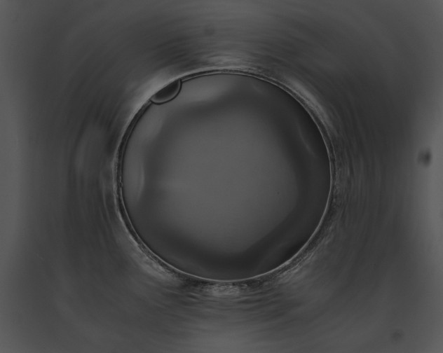 X0000091651291200708301411