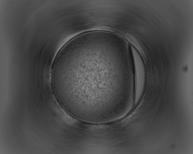 X0000091651292200708301411