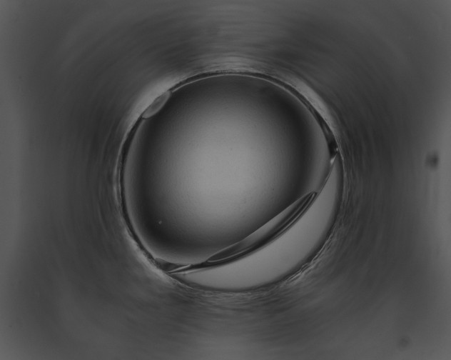 X0000091651293200708301411