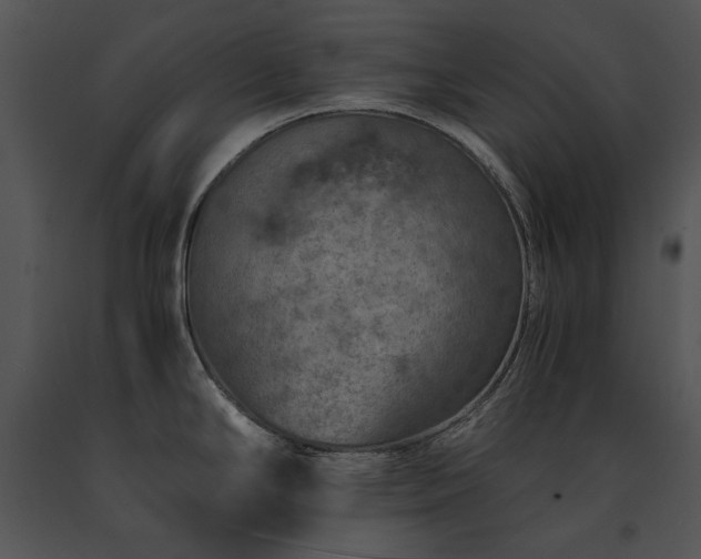 X0000091651294200708301411
