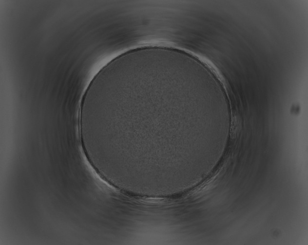 X0000091651295200708301411