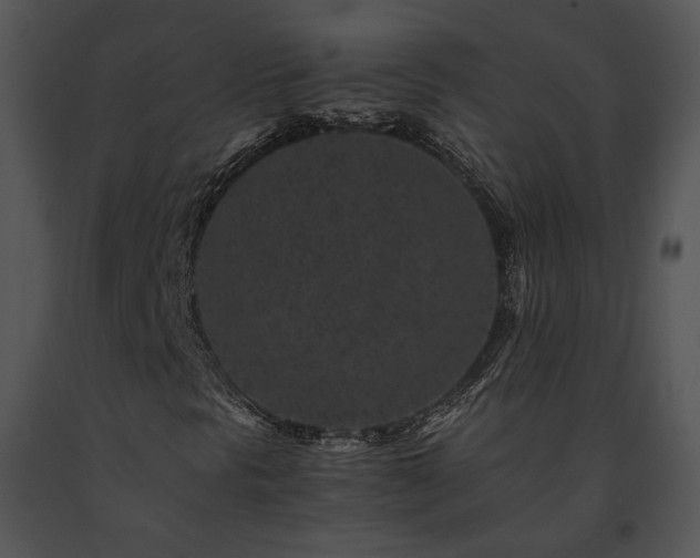 X0000091651297200708301411