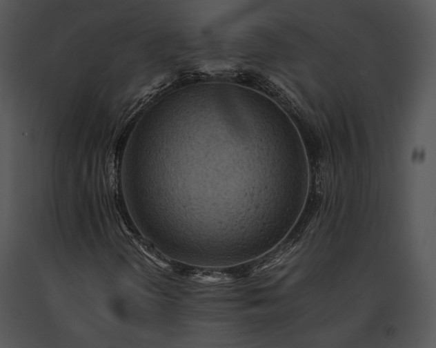 X0000091651298200708301411