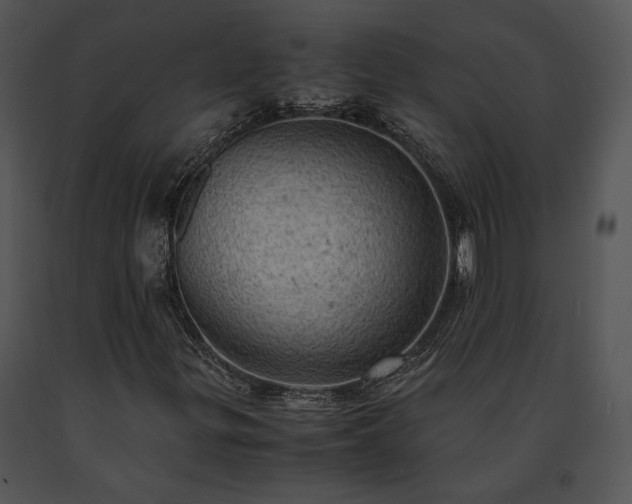 X0000091651299200708301411
