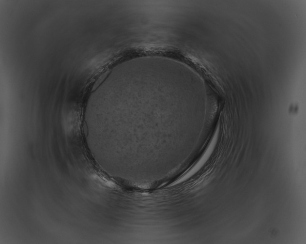 X0000091651300200708301411