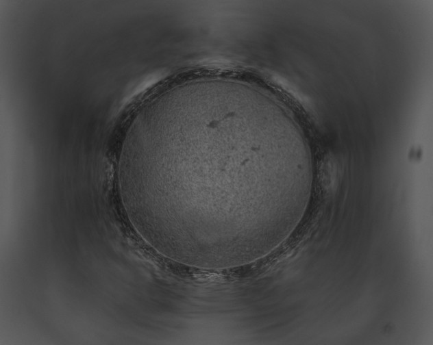 X0000091651302200708301411
