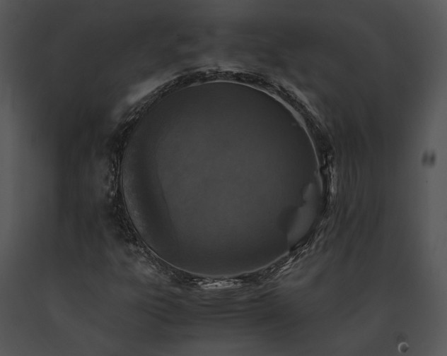 X0000091651303200708301411
