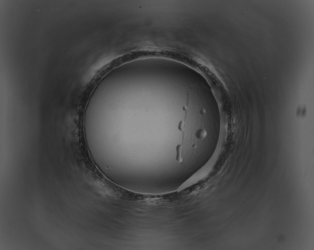X0000091651304200708301411