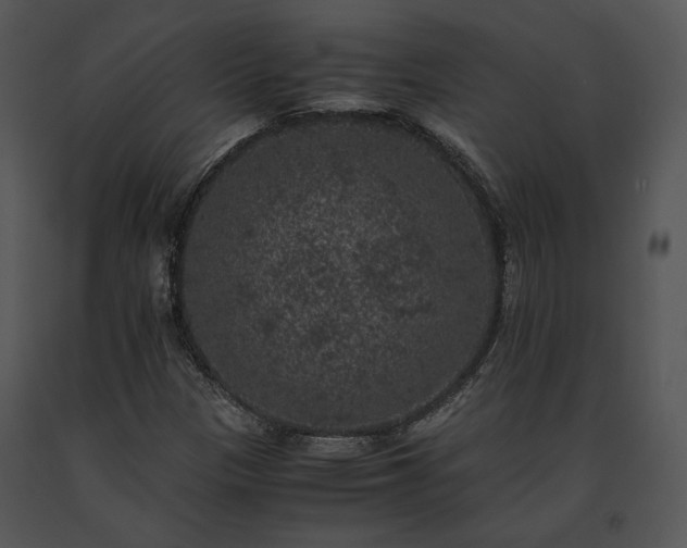 X0000091651305200708301411
