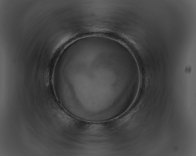 X0000091651306200708301411