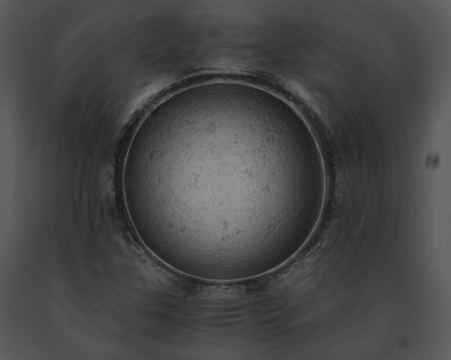 X0000091651307200708301411