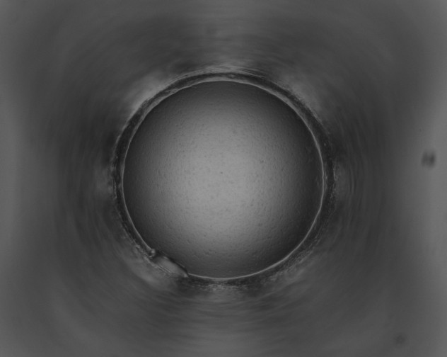 X0000091651308200708301411