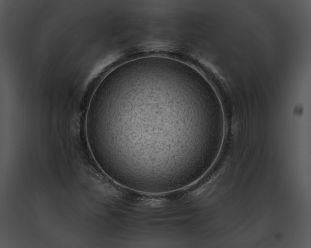 X0000091651309200708301411