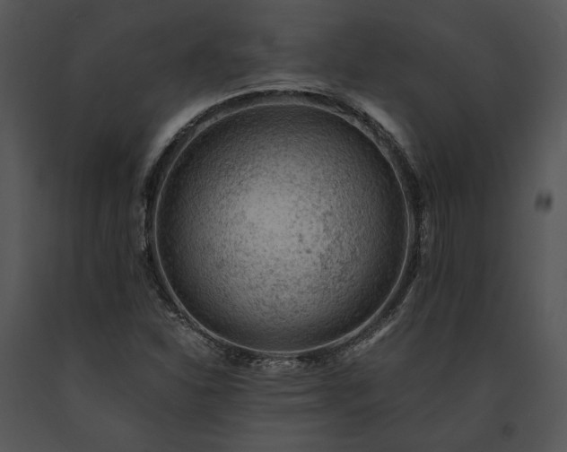 X0000091651310200708301411