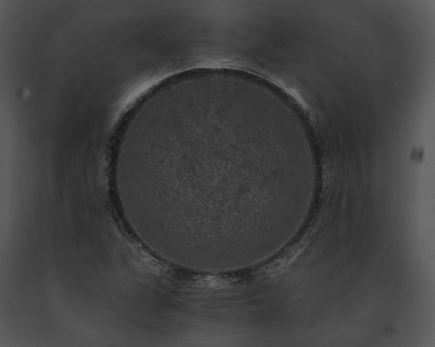 X0000091651311200708301411