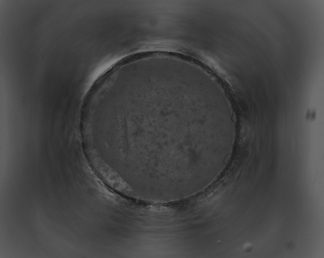X0000091651312200708301411