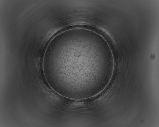 X0000091651313200708301411