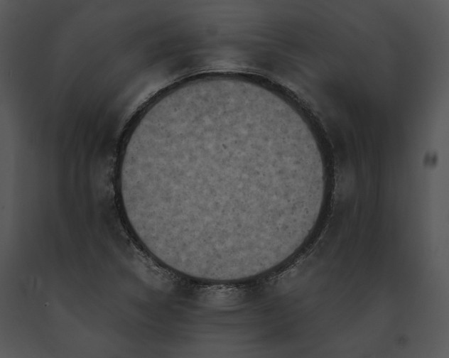 X0000091651314200708301411