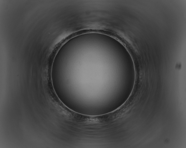 X0000091651315200708301411