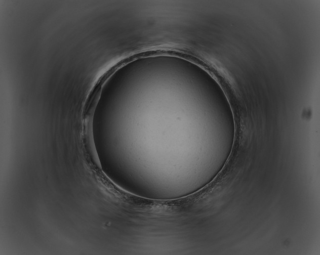 X0000091651316200708301411