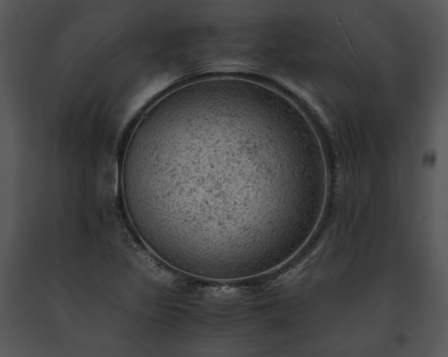 X0000091651317200708301411