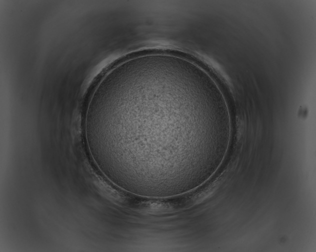X0000091651318200708301411