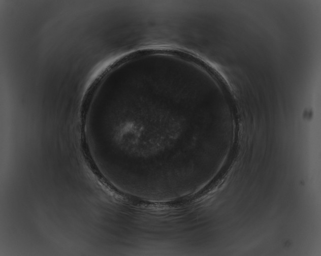 X0000091651319200708301411