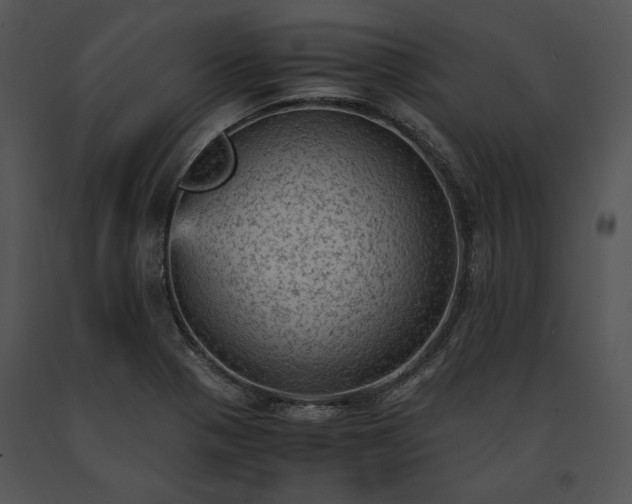 X0000091651321200708301411