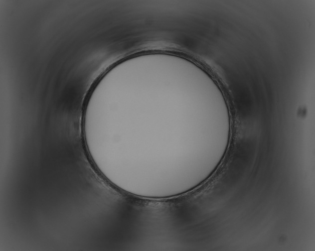 X0000091651322200708301411
