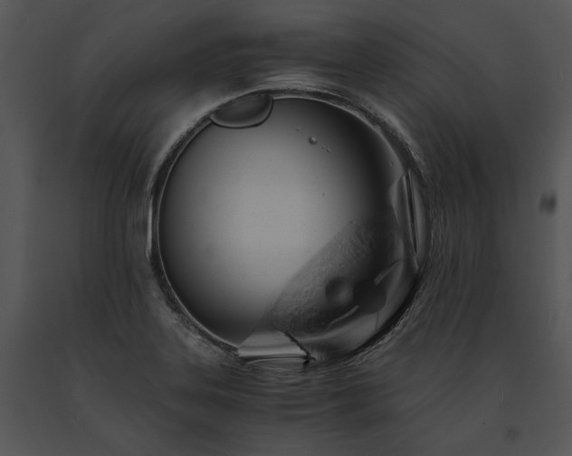 X0000091651323200708301411