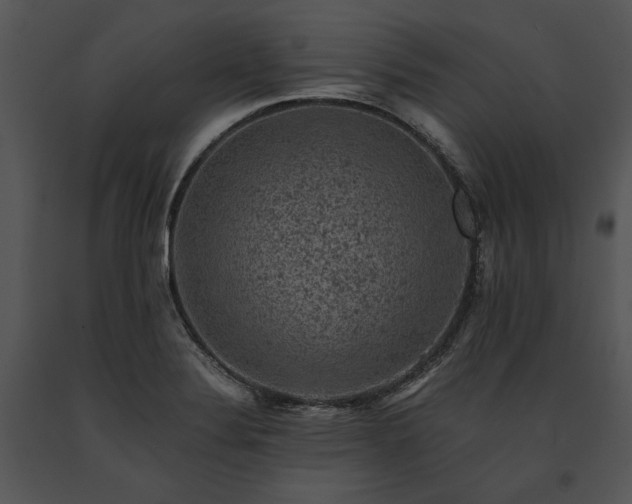 X0000091651324200708301411