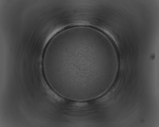 X0000091651325200708301411