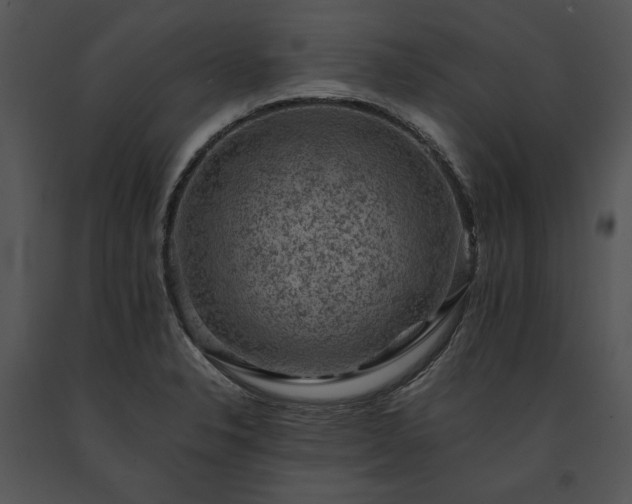 X0000091651326200708301411