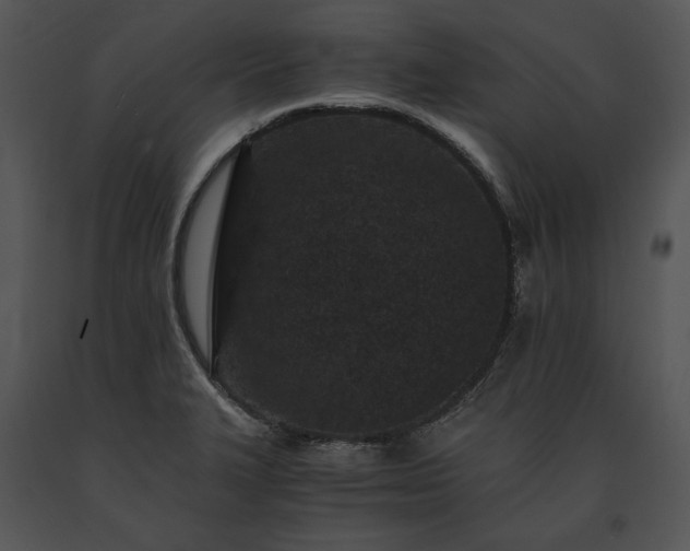 X0000091651327200708301411