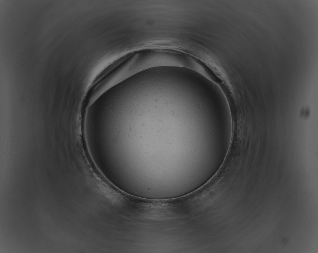X0000091651328200708301411
