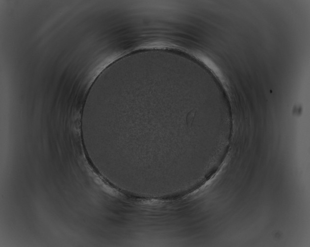 X0000091651329200708301411