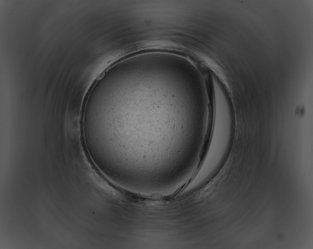 X0000091651330200708301411