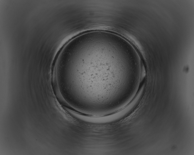 X0000091651332200708301411