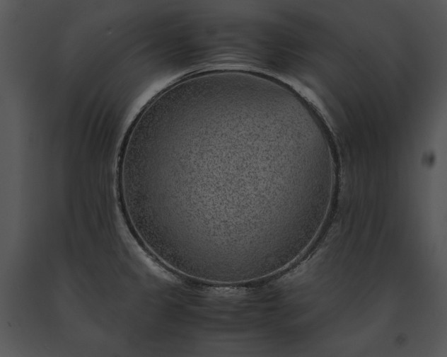 X0000091651333200708301411