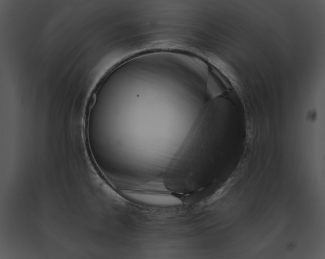 X0000091651334200708301411