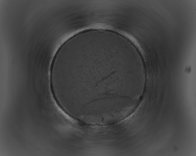 X0000091651335200708301411