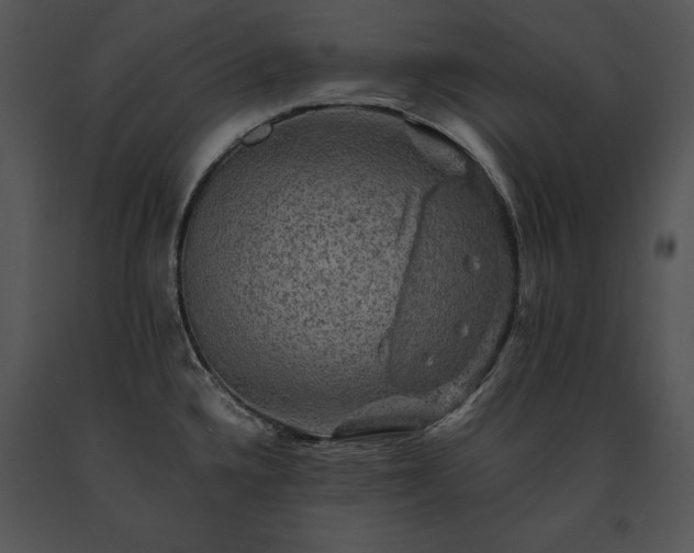 X0000091651336200708301411