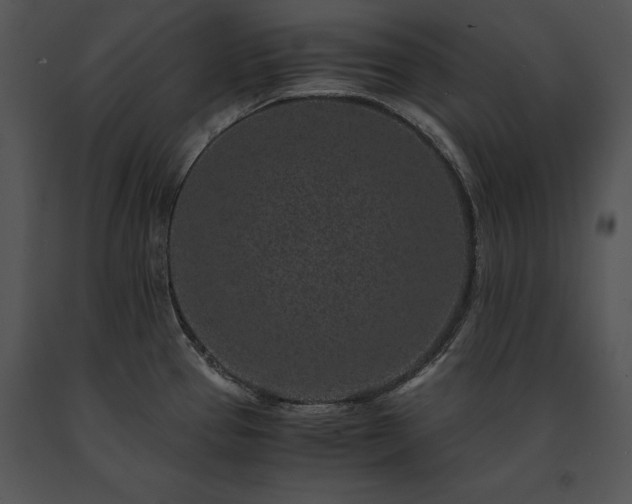X0000091651337200708301411