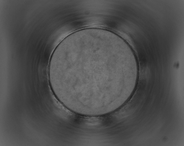 X0000091651338200708301411