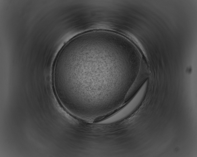 X0000091651339200708301411