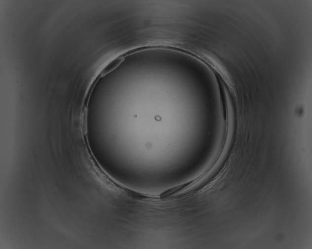 X0000091651340200708301411