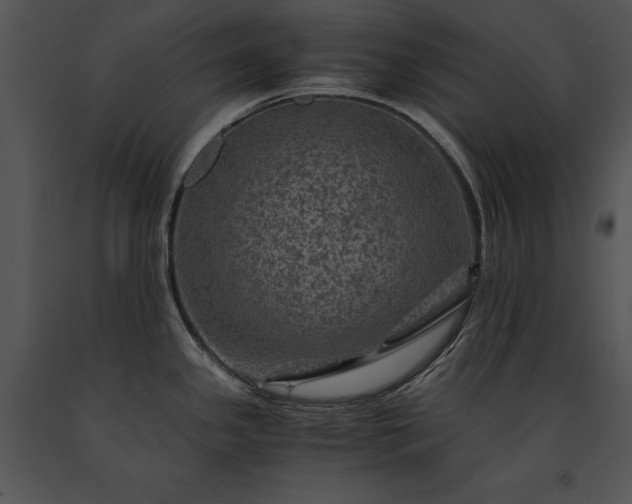 X0000091651341200708301411
