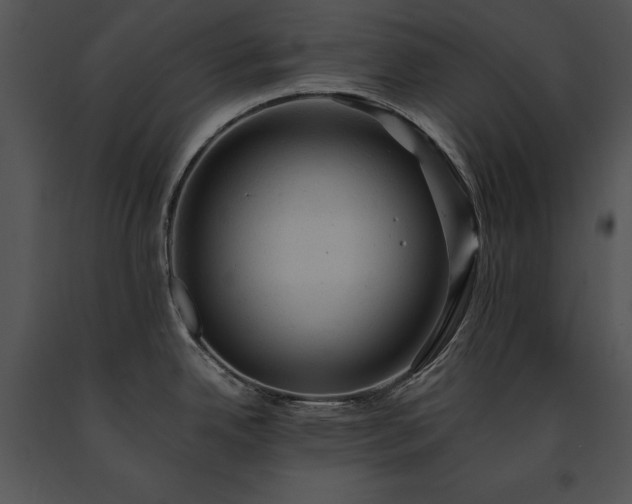 X0000091651342200708301411