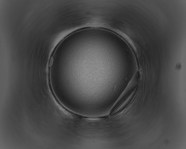 X0000091651343200708301411