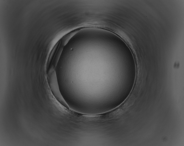 X0000091651344200708301411